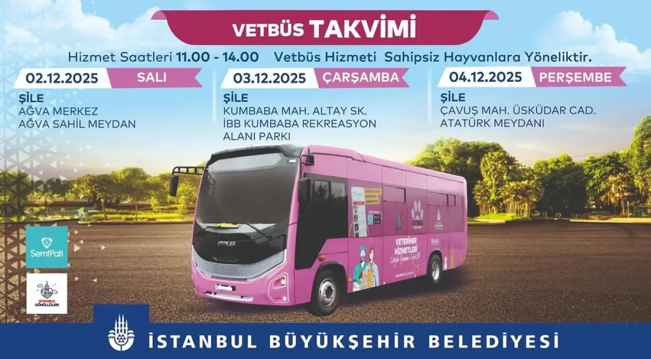 İBB Veteriner Hizmetleri, Şile'de Sahipsiz Hayvanlar İçin Sağlık Taraması Yapacak İBB Veteriner Hizmetleri, Şile'de Sahipsiz Hayvanlar İçin Sağlık Taraması Yapacak