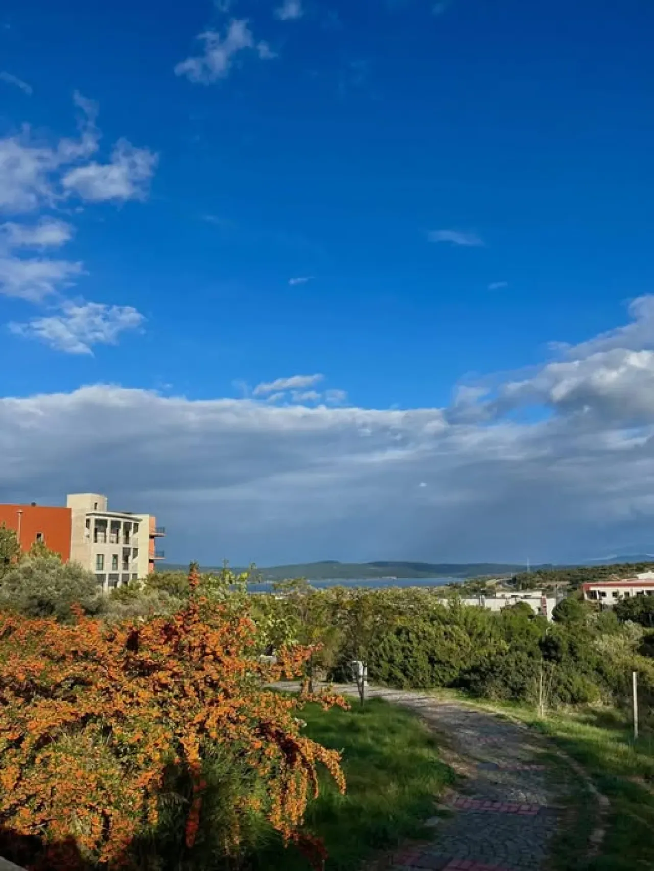 İzmir Yüksek Teknoloji Enstitüsü'nden Hafta Sonu Mesajı İzmir Yüksek Teknoloji Enstitüsü'nden Hafta Sonu Mesajı