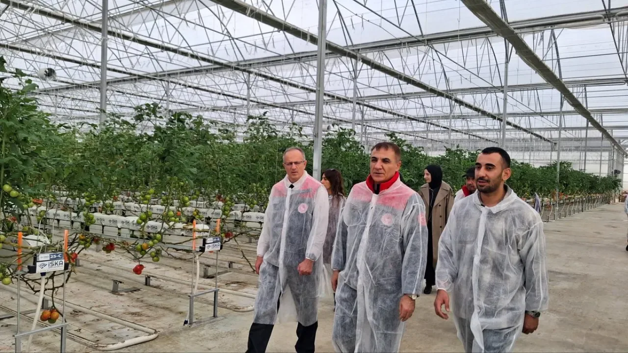 Konya'da Modern Sera Sistemleri Verimlilik ve Sürdürülebilirlik Açısından İncelendi Konya'da Modern Sera Sistemleri Verimlilik ve Sürdürülebilirlik Açısından İncelendi