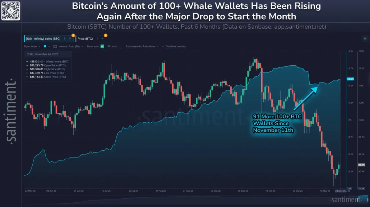 Bitcoin Büyük Cüzdanlarındaki Artış ve Küçük Yatırımcıların Çekilmesi Bitcoin Büyük Cüzdanlarındaki Artış ve Küçük Yatırımcıların Çekilmesi