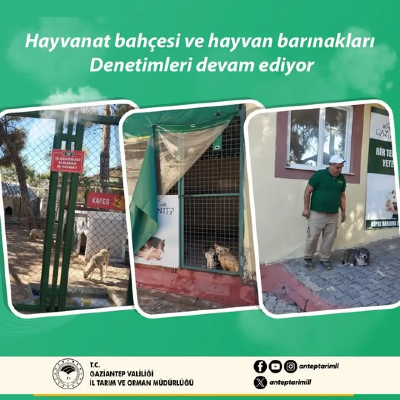 Gaziantep Hayvanat Bahçesi ve Barınaklarında Sağlık Kontrolü Gaziantep Hayvanat Bahçesi ve Barınaklarında Sağlık Kontrolü