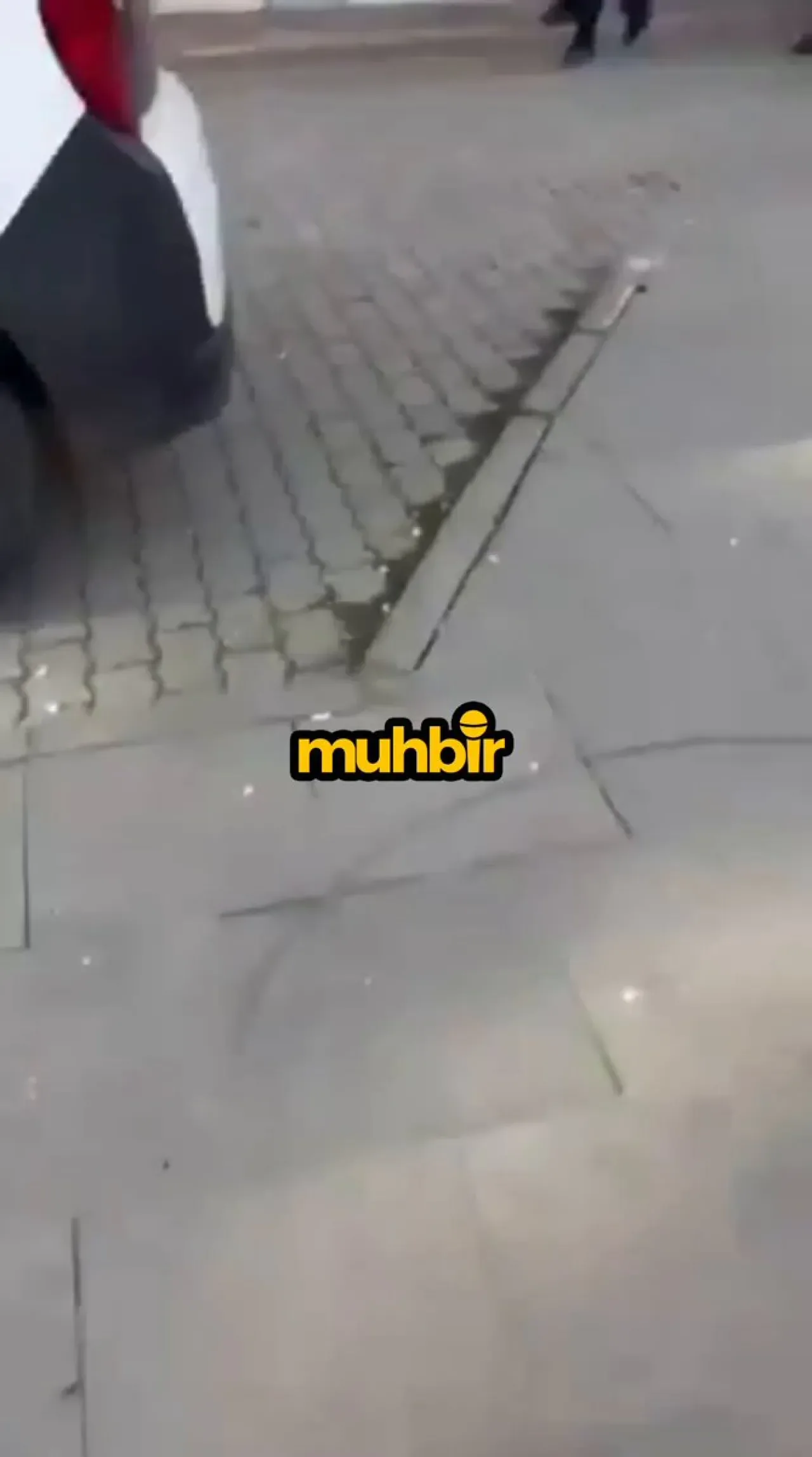 Orkun Özeller'den Sert Açıklama: "Tasması Çıkartılmış İt Taklidi Yok Hükmündedir" Orkun Özeller'den Sert Açıklama: "Tasması Çıkartılmış İt Taklidi Yok Hükmündedir"