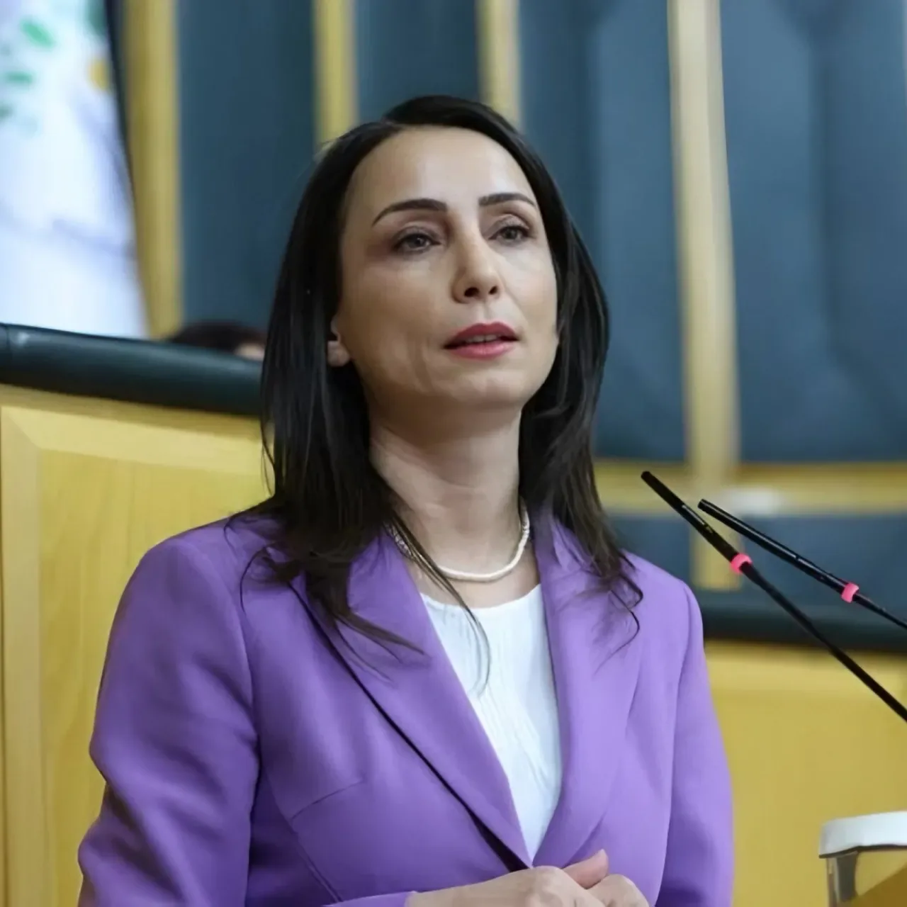 DEM Partili Hatimoğulları: Yüz Yıllık Hasretle Onurlu Barış İçin Çalışıyoruz DEM Partili Hatimoğulları: Yüz Yıllık Hasretle Onurlu Barış İçin Çalışıyoruz