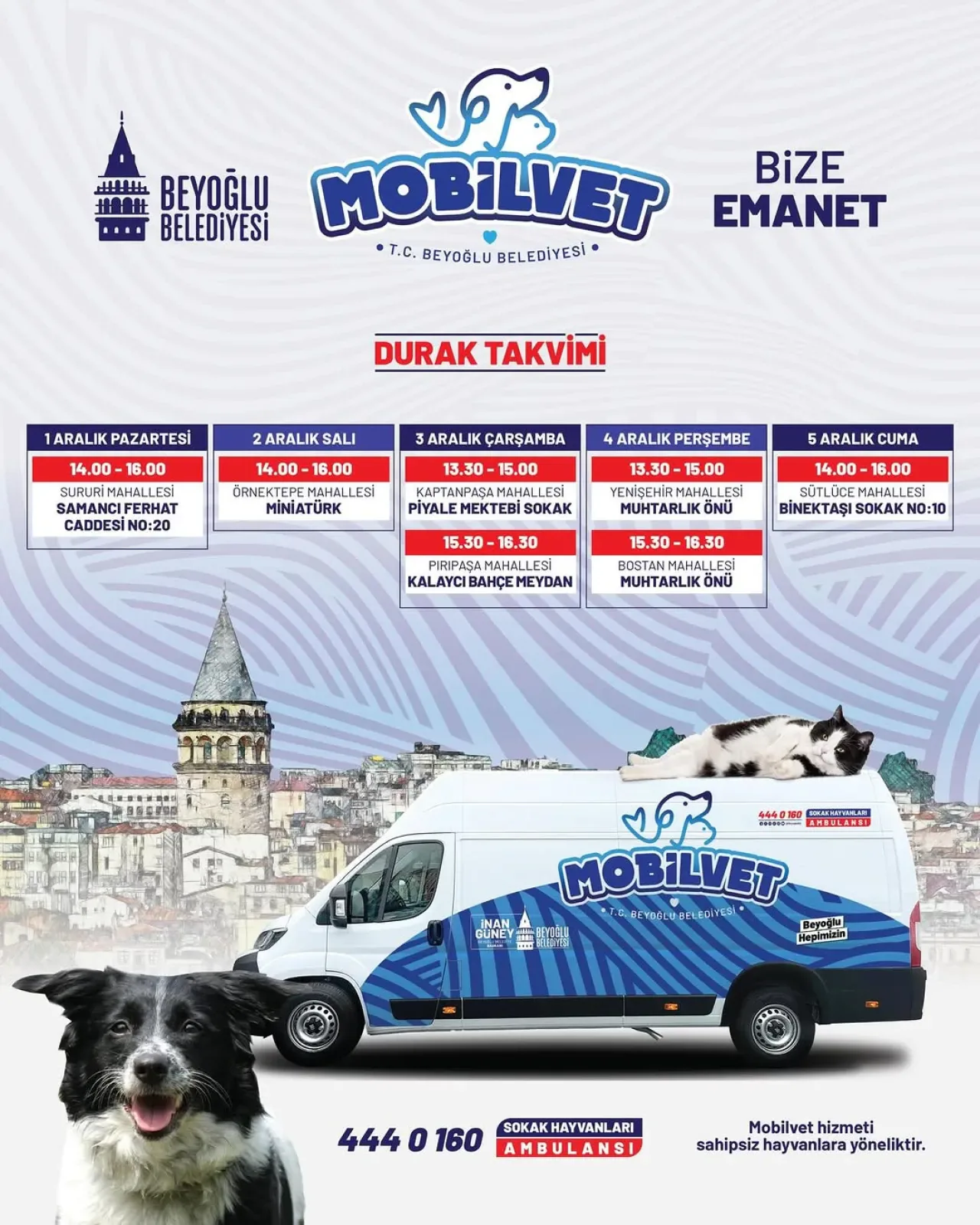 Beyoğlu'nda Sokak Hayvanları İçin Mobil Veteriner Hizmeti Beyoğlu'nda Sokak Hayvanları İçin Mobil Veteriner Hizmeti