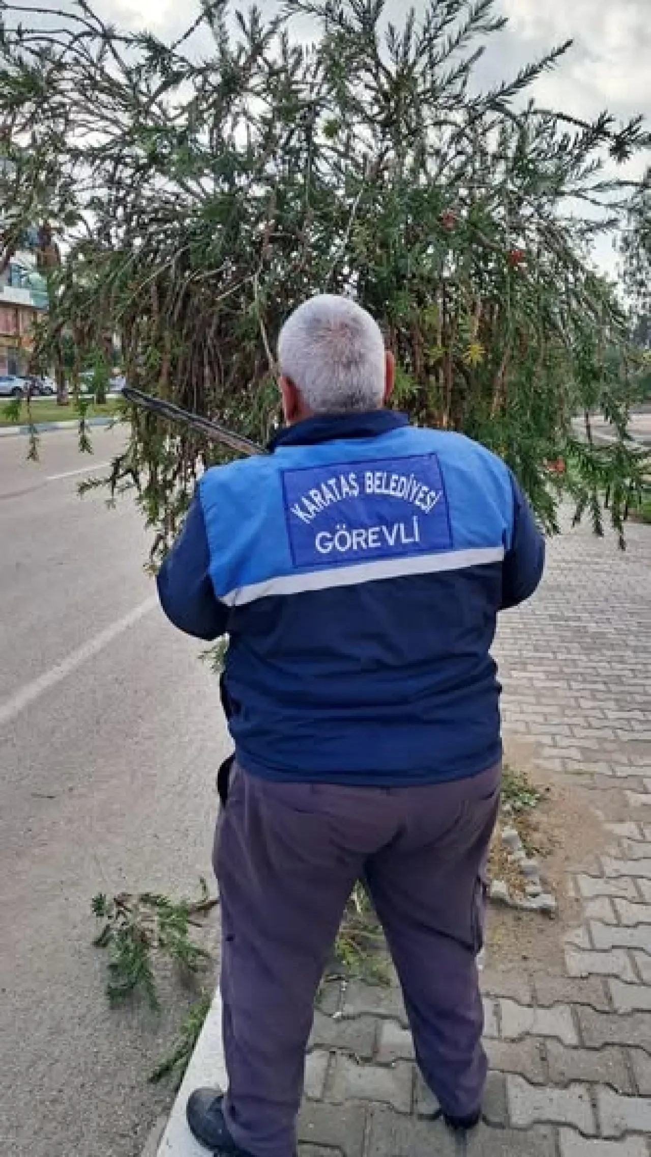 Karataş'ta Park ve Bahçelerde Budama Seferberliği Başladı Karataş'ta Park ve Bahçelerde Budama Seferberliği Başladı