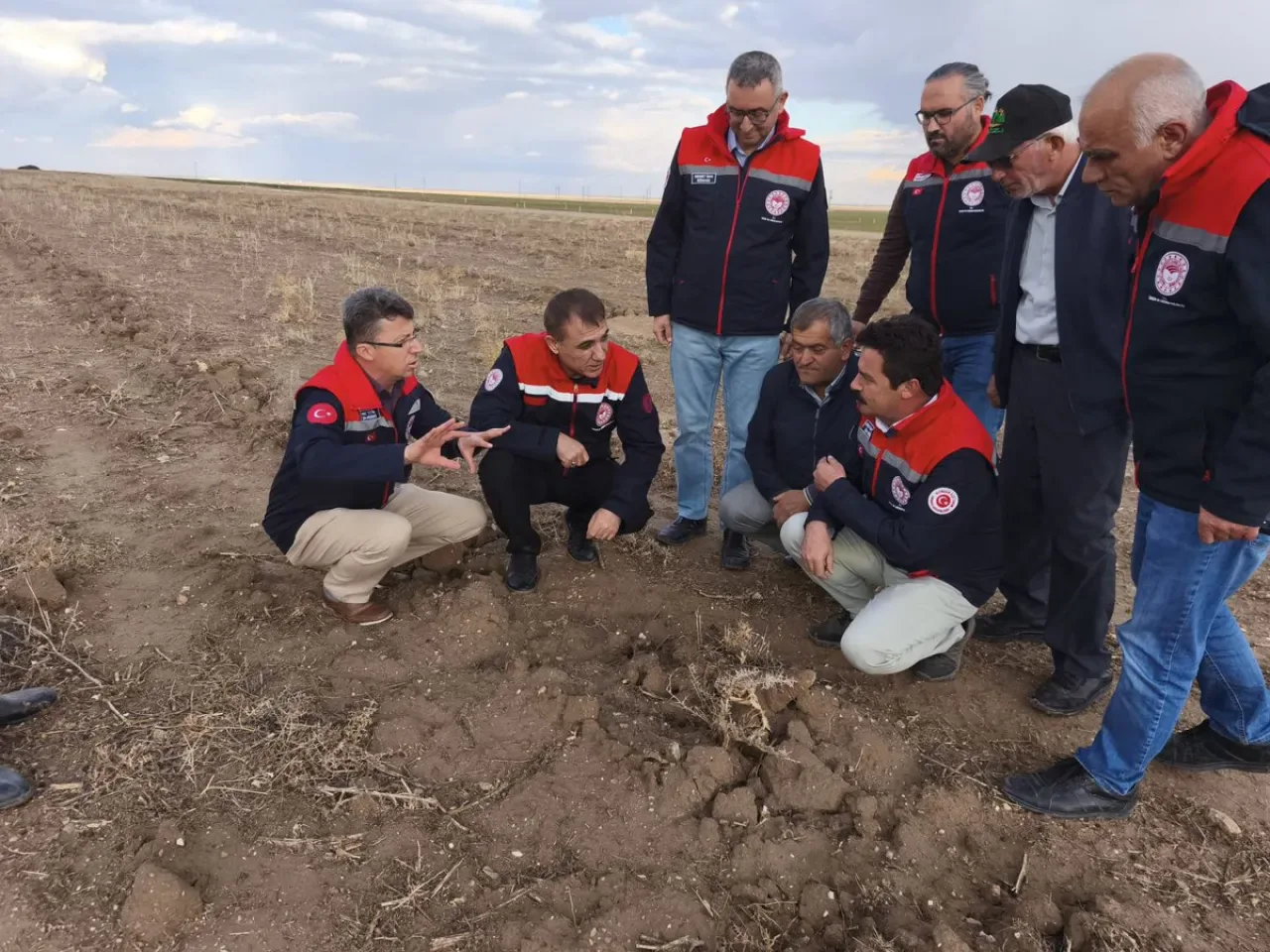 Konya'da 550 Dekar Mera Alanı 85 Bin Fide ile Yeşilleniyor Konya'da 550 Dekar Mera Alanı 85 Bin Fide ile Yeşilleniyor