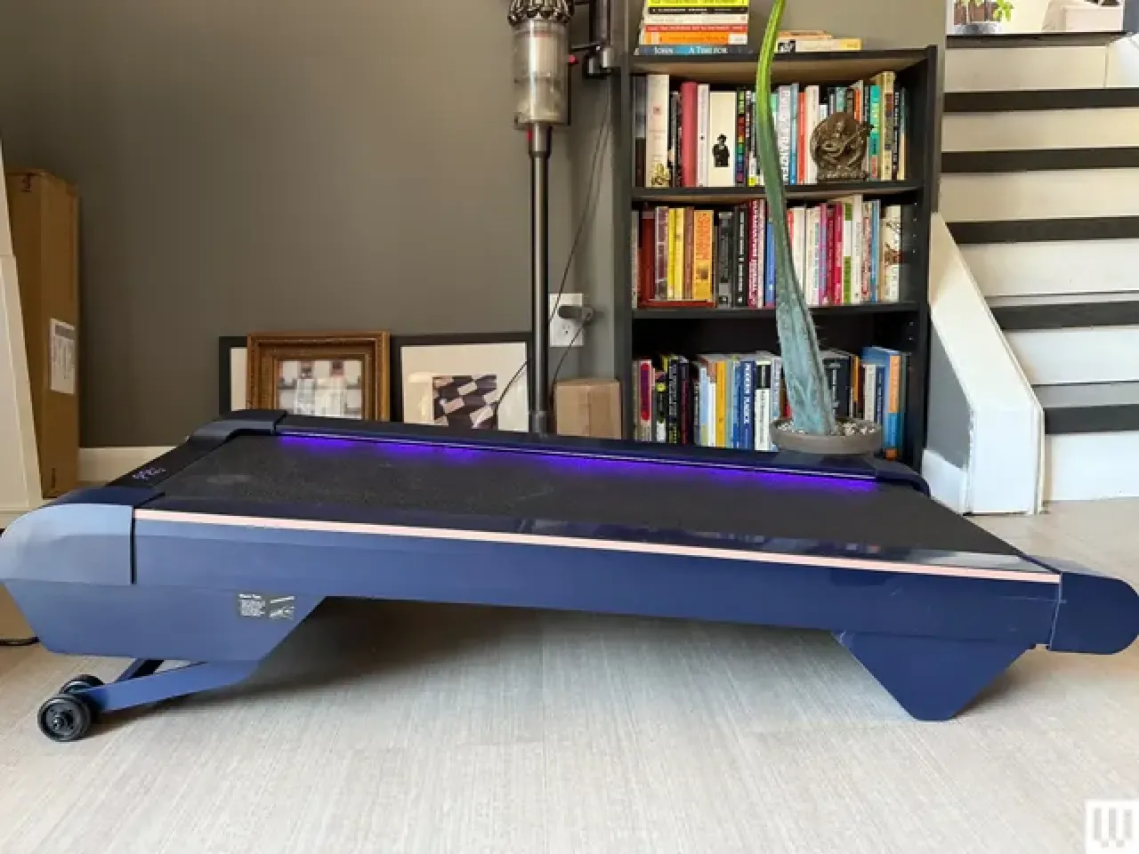 Urevo CyberPad ile Evde Spor Keyfi: Yeni Yılda Forma Girme Fırsatı Urevo CyberPad ile Evde Spor Keyfi: Yeni Yılda Forma Girme Fırsatı