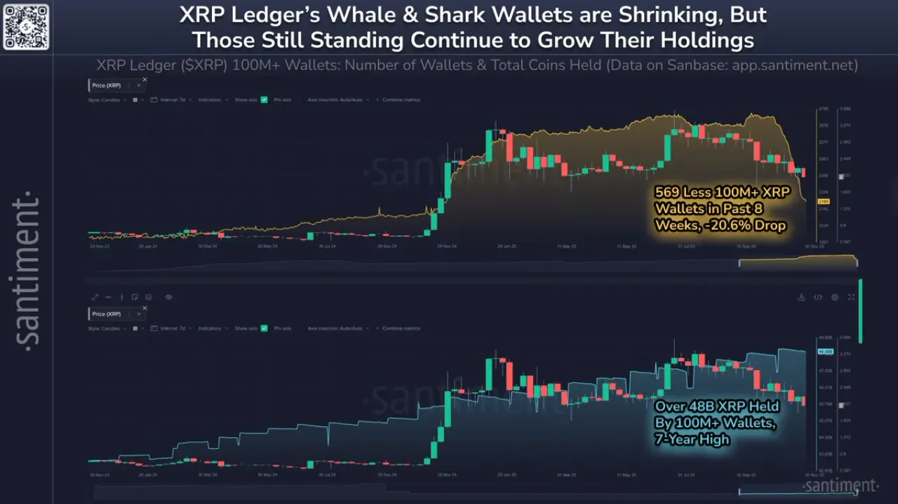 XRP Balina Cüzdanlarında Şaşırtıcı Trend: Sayı Azalıyor, Toplanan Coin Miktarı Artıyor XRP Balina Cüzdanlarında Şaşırtıcı Trend: Sayı Azalıyor, Toplanan Coin Miktarı Artıyor