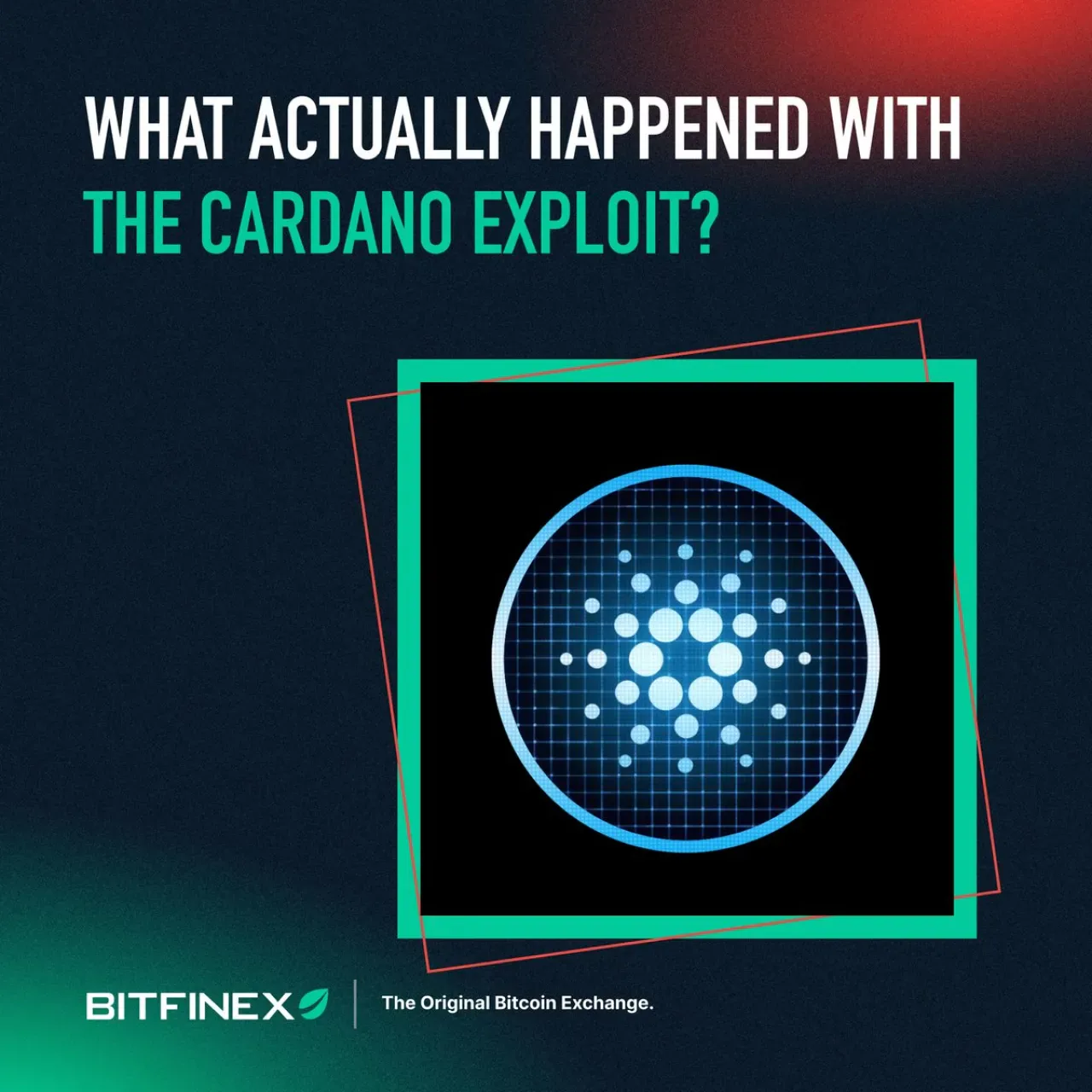 Cardano Ağında Tek İşlemle Zincir Bölünmesi Yaşandı Cardano Ağında Tek İşlemle Zincir Bölünmesi Yaşandı