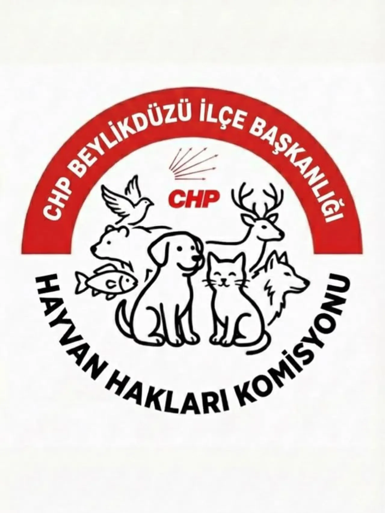 Beylikdüzü'nde Hayvan Hakları İçin Gönüllü Çağrısı Beylikdüzü'nde Hayvan Hakları İçin Gönüllü Çağrısı