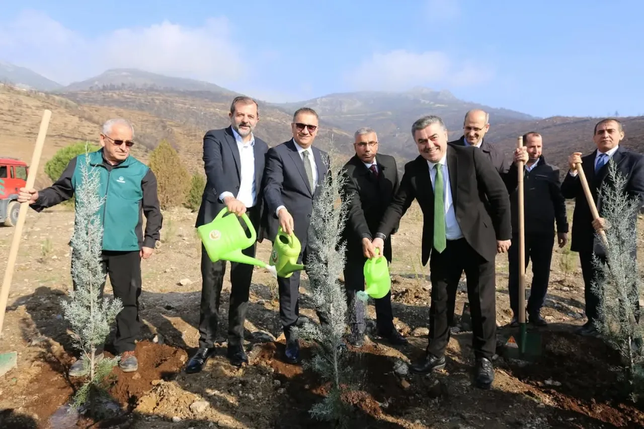 Sancaktepe'de Öğrenci ve Velilerden 15 Bin Fidan Bağışı, Bursa'da Toprakla Buluştu Sancaktepe'de Öğrenci ve Velilerden 15 Bin Fidan Bağışı, Bursa'da Toprakla Buluştu