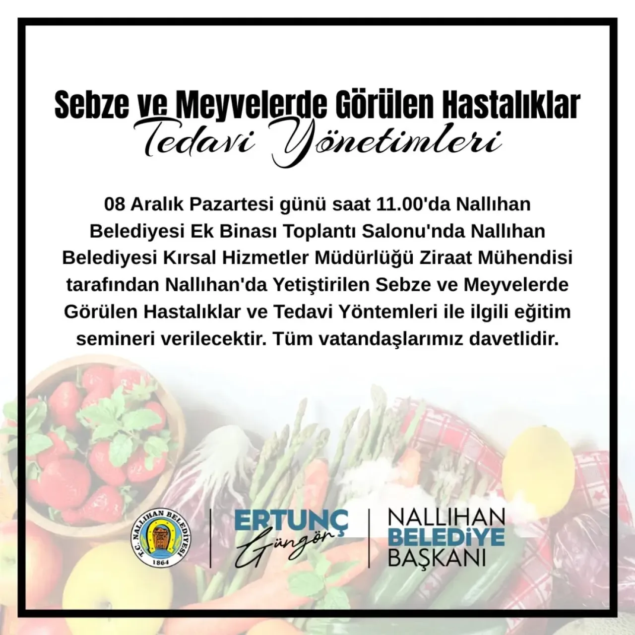 Nallıhan'da Sebze ve Meyve Hastalıkları Eğitim Semineri Düzenleniyor Nallıhan'da Sebze ve Meyve Hastalıkları Eğitim Semineri Düzenleniyor