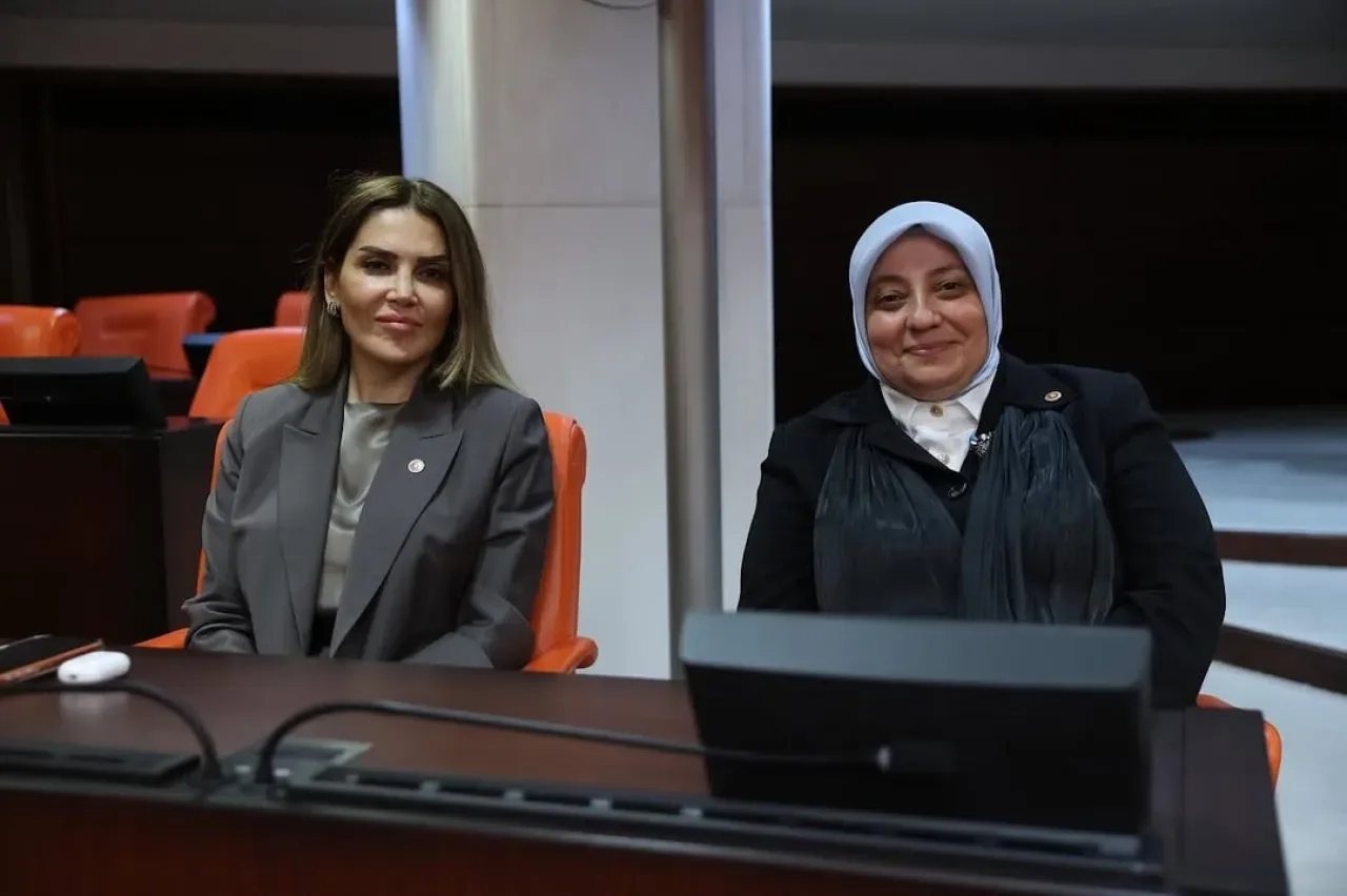 AK Partili Yıldız Konal Süslü'den TBMM Genel Kurul Açıklaması AK Partili Yıldız Konal Süslü'den TBMM Genel Kurul Açıklaması
