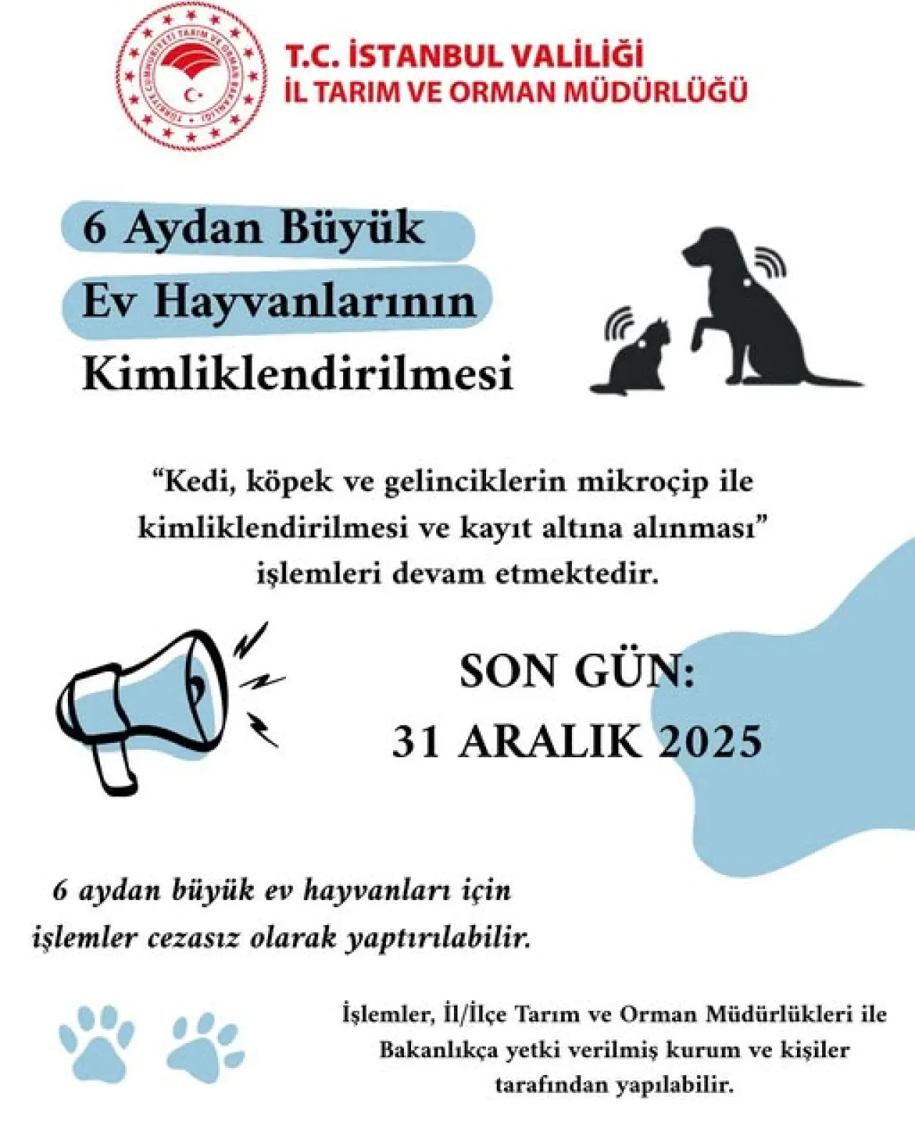 İstanbul'da Evcil Hayvan Kimliklendirme İçin Son Tarih 31 Aralık 2025 İstanbul'da Evcil Hayvan Kimliklendirme İçin Son Tarih 31 Aralık 2025