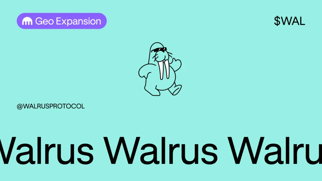 Walrus Protokolü WAL Token'ı ABD ve Kanada'da Kullanıma Sunuldu Walrus Protokolü WAL Token'ı ABD ve Kanada'da Kullanıma Sunuldu