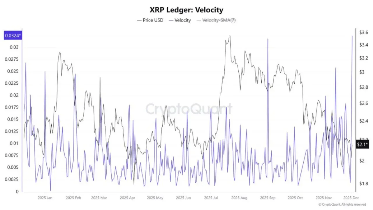 XRP Ledger Dolaşım Hızı Yılın En Yüksek Seviyesine Ulaştı XRP Ledger Dolaşım Hızı Yılın En Yüksek Seviyesine Ulaştı