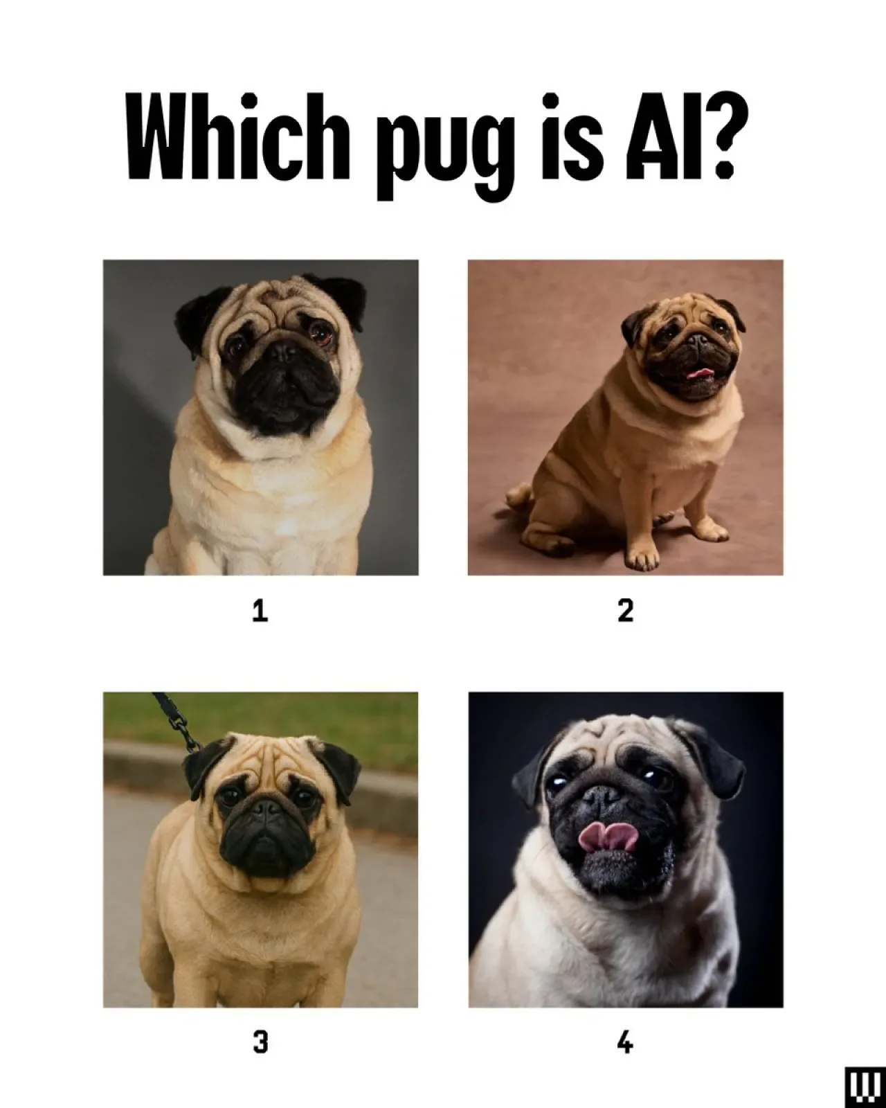 WIRED Konferansı Katılımcılarına: Bu Pug'lardan Hangisi Yapay Zeka? WIRED Konferansı Katılımcılarına: Bu Pug'lardan Hangisi Yapay Zeka?