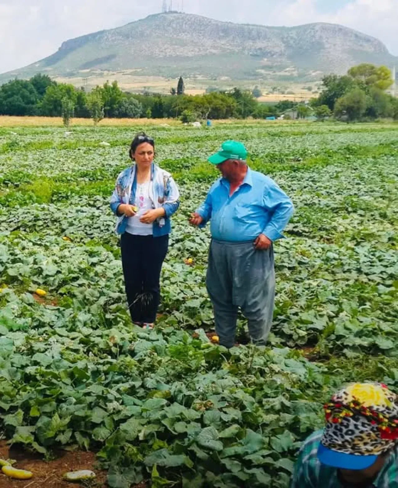 Adana Milletvekili Şevkin'den Dünya Toprak Günü'nde Kritik Uyarı: "Toprak İşleyenin, Su Kullananın" Adana Milletvekili Şevkin'den Dünya Toprak Günü'nde Kritik Uyarı: "Toprak İşleyenin, Su Kullananın"