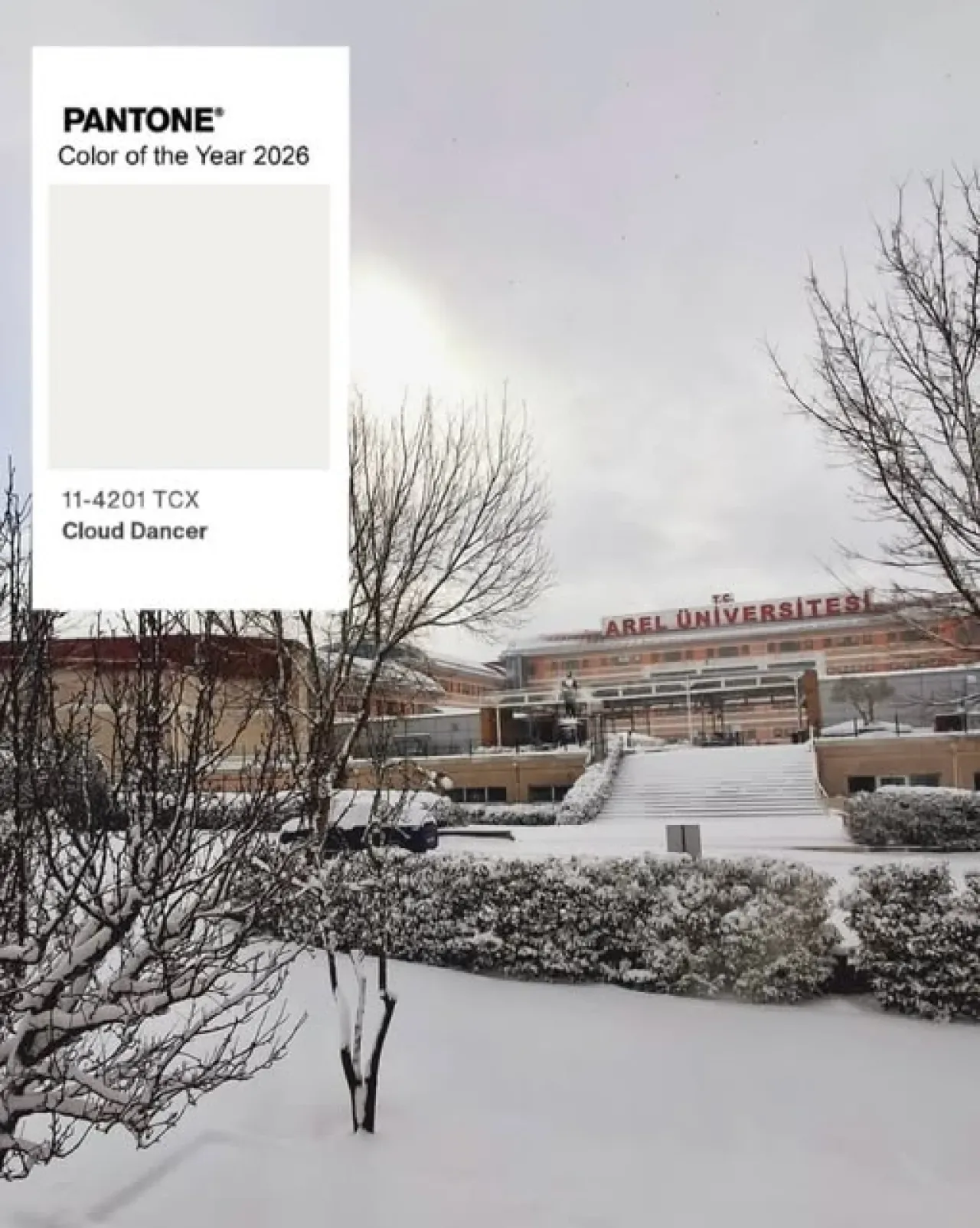 Pantone 2026 Yılın Rengi 'Cloud Dancer' Karlı Arel Üniversitesi'nde Görüntülendi Pantone 2026 Yılın Rengi 'Cloud Dancer' Karlı Arel Üniversitesi'nde Görüntülendi
