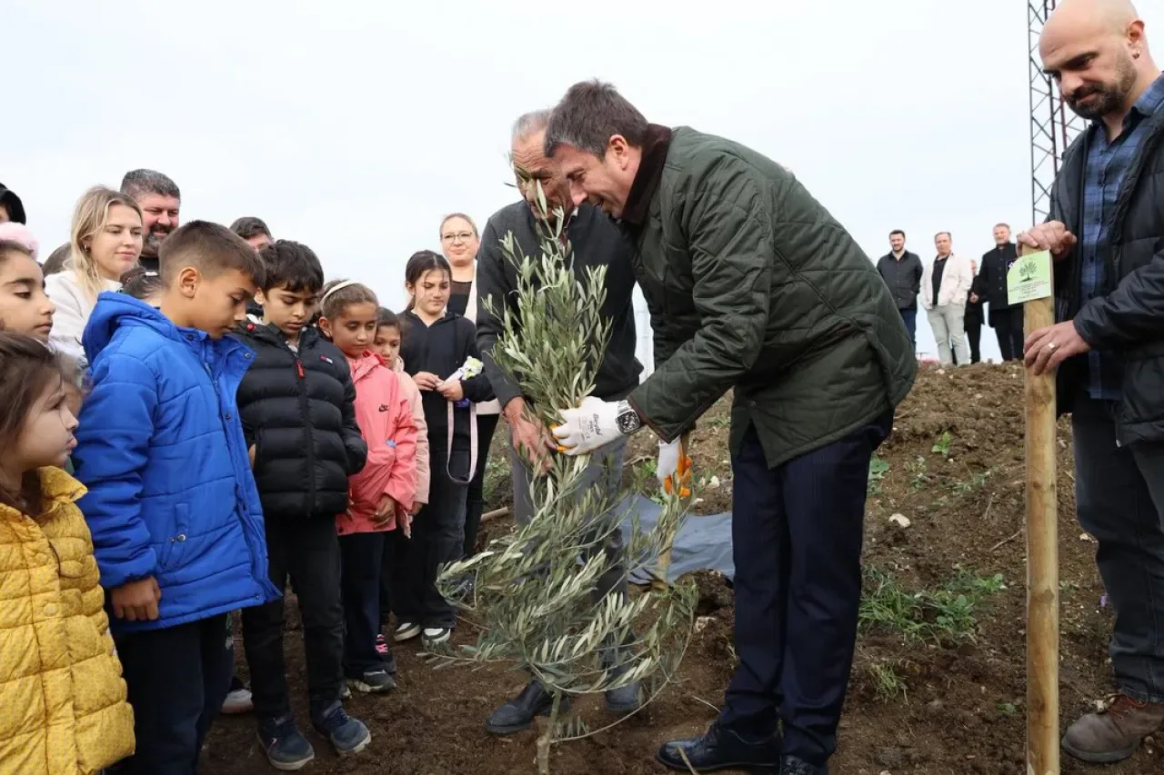 Çatalca'da 40 Okul Adına Zeytin Fidanları Toprakla Buluştu Çatalca'da 40 Okul Adına Zeytin Fidanları Toprakla Buluştu
