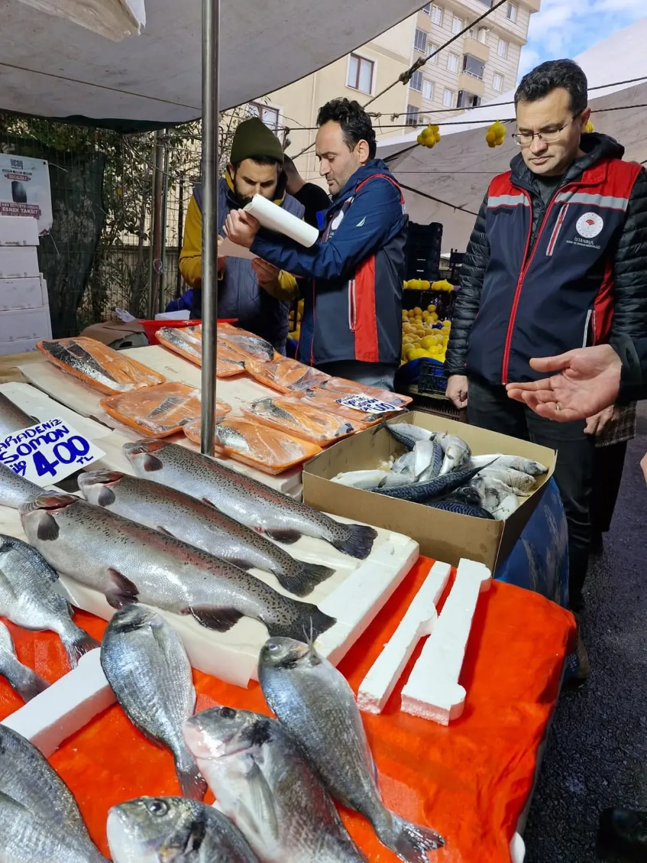 İstanbul Tuzla'da Hamsi Avı Kontrolleri 7/24 Sürüyor İstanbul Tuzla'da Hamsi Avı Kontrolleri 7/24 Sürüyor