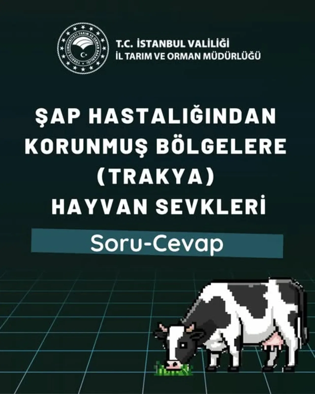 İstanbul'dan Trakya'ya Büyükbaş Hayvan Sevkiyatına Yıl Boyu İzin İstanbul'dan Trakya'ya Büyükbaş Hayvan Sevkiyatına Yıl Boyu İzin