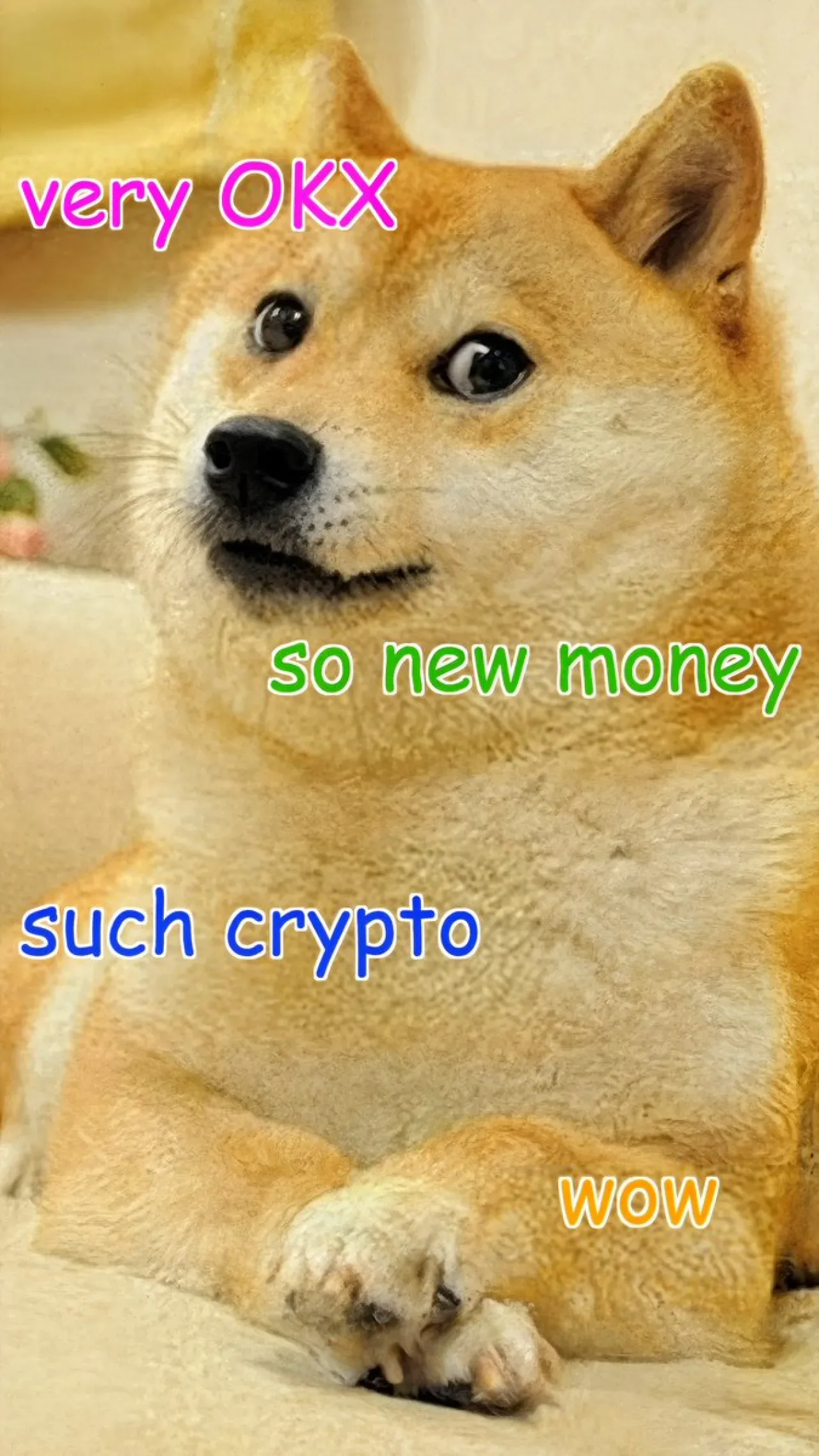 Dogecoin Topluluğu 12. Yılını Kutluyor Dogecoin Topluluğu 12. Yılını Kutluyor