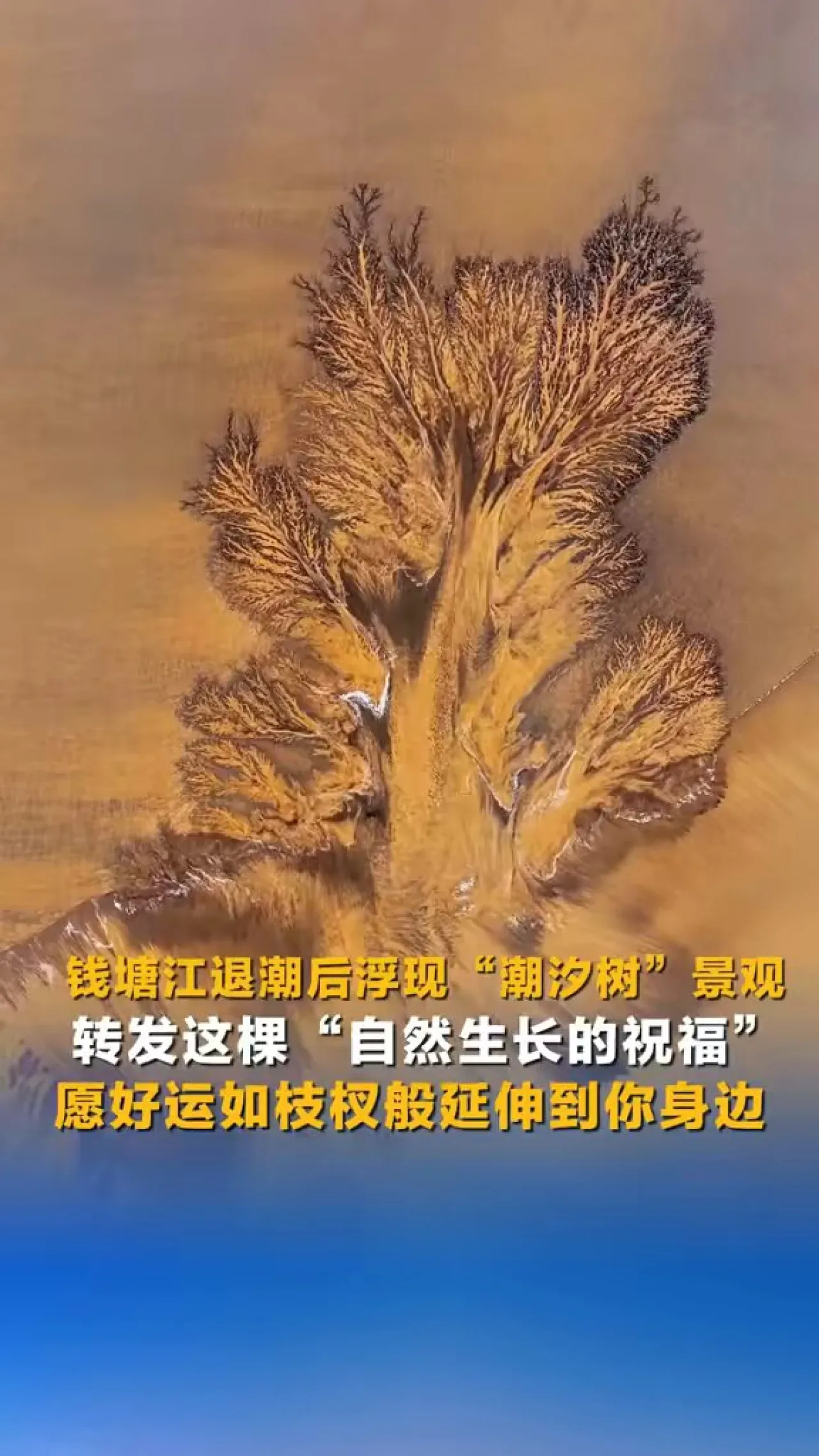 Qiantang Nehri'nde Gelgitin Çekilmesiyle Ortaya Çıkan Doğal Sanat: "Gelgit Ağacı" Manzarası Qiantang Nehri'nde Gelgitin Çekilmesiyle Ortaya Çıkan Doğal Sanat: "Gelgit Ağacı" Manzarası
