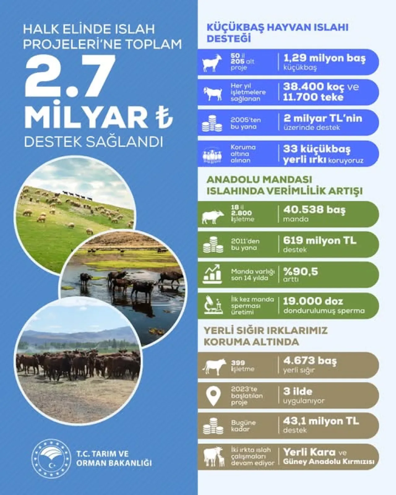 Mudanya'da Yerli Hayvan Irkları Korunarak Tarımsal Geleceğe 2,7 Milyar TL'lik Katkı Mudanya'da Yerli Hayvan Irkları Korunarak Tarımsal Geleceğe 2,7 Milyar TL'lik Katkı
