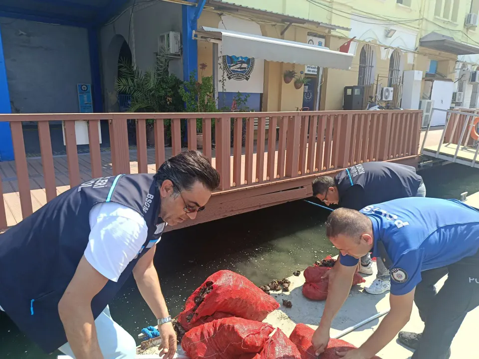 İzmir Balçova'da Yasa Dışı Kara Midye Avına Operasyon: 560 Kiloya El Konuldu görseli