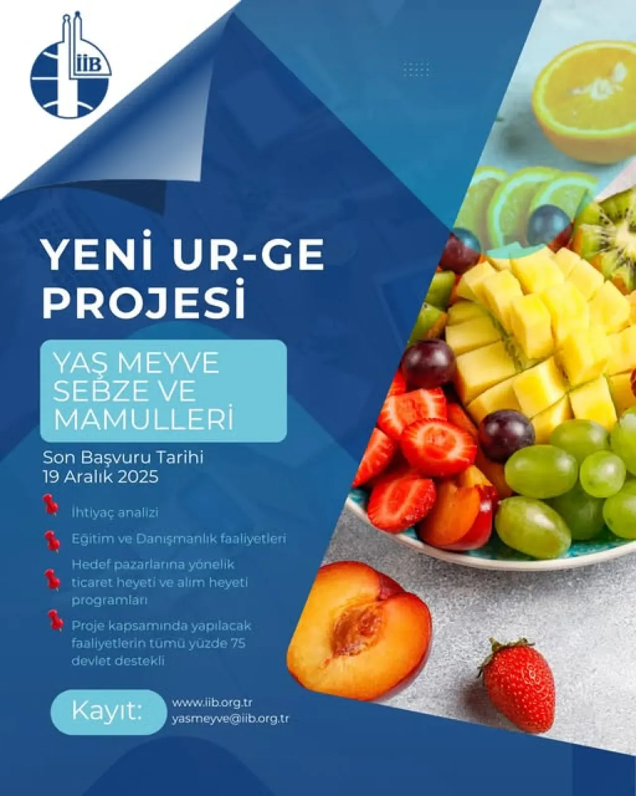 İstanbul İhracatçı Birlikleri'nden Yaş Meyve Sebze Sektörüne Rekabet Desteği İstanbul İhracatçı Birlikleri'nden Yaş Meyve Sebze Sektörüne Rekabet Desteği