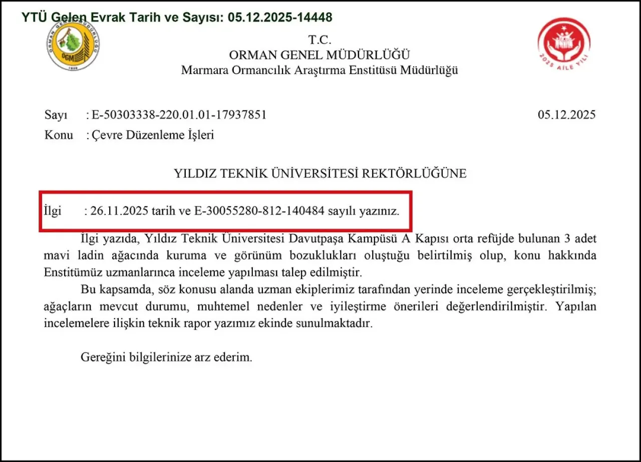 Yıldız Teknik Üniversitesi, Ağaç Süsleme Geleneğini Çevre Duyarlılığı İle Değiştiriyor Yıldız Teknik Üniversitesi, Ağaç Süsleme Geleneğini Çevre Duyarlılığı İle Değiştiriyor