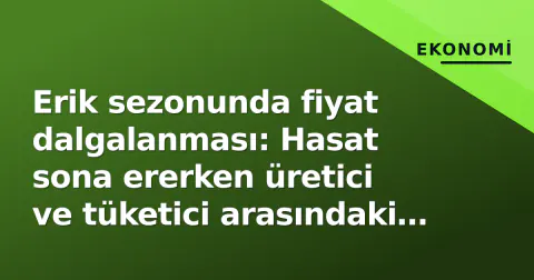 Erik sezonunda fiyat dalgalanması: Hasat sona ererken üretici ve tüketici arasındaki uçurum