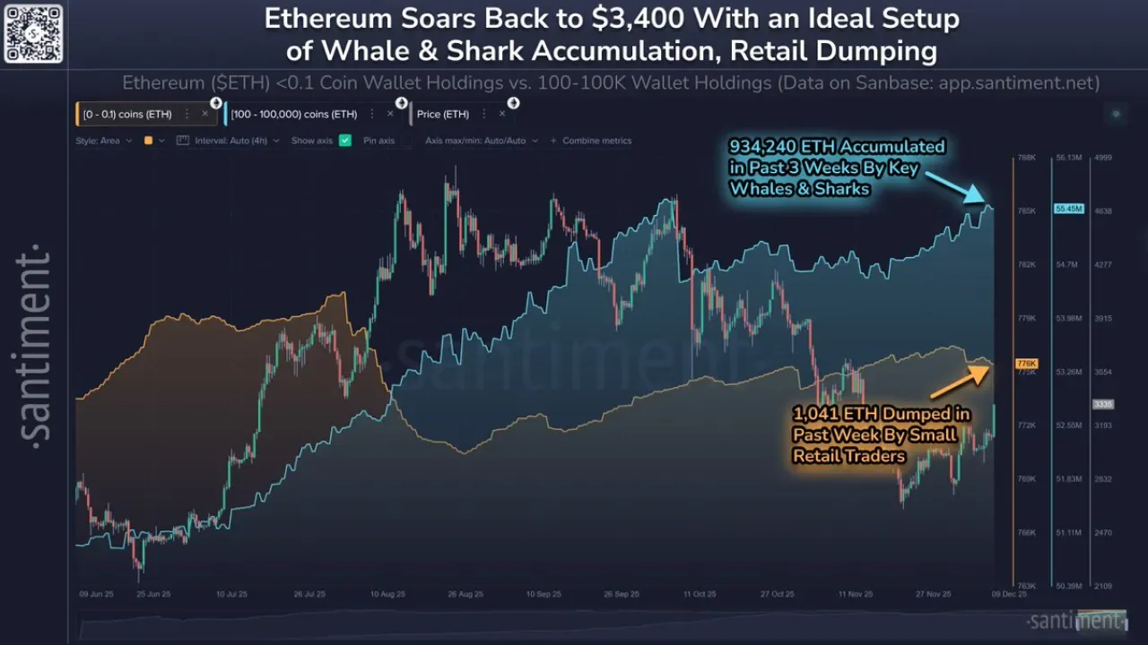 Ethereum Balinaları ve Köpekbalıkları 3 Haftada 934 Bin ETH Biriktirdi, Fiyat 3.400 Doları Aştı Ethereum Balinaları ve Köpekbalıkları 3 Haftada 934 Bin ETH Biriktirdi, Fiyat 3.400 Doları Aştı