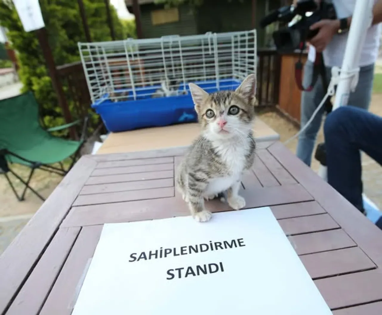 Karşıyaka Belediyesi, Sokak Hayvanları İçin Yılda 40 Bin Hizmet Verdi Karşıyaka Belediyesi, Sokak Hayvanları İçin Yılda 40 Bin Hizmet Verdi
