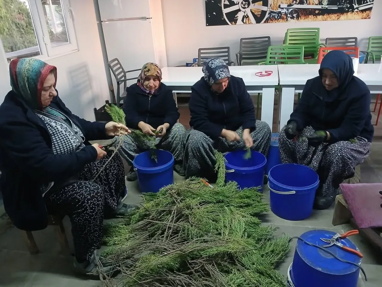 Silivri Belediyesi Tıbbi Bitkilerin Çoğaltılması İçin Çalışma Başlattı Silivri Belediyesi Tıbbi Bitkilerin Çoğaltılması İçin Çalışma Başlattı