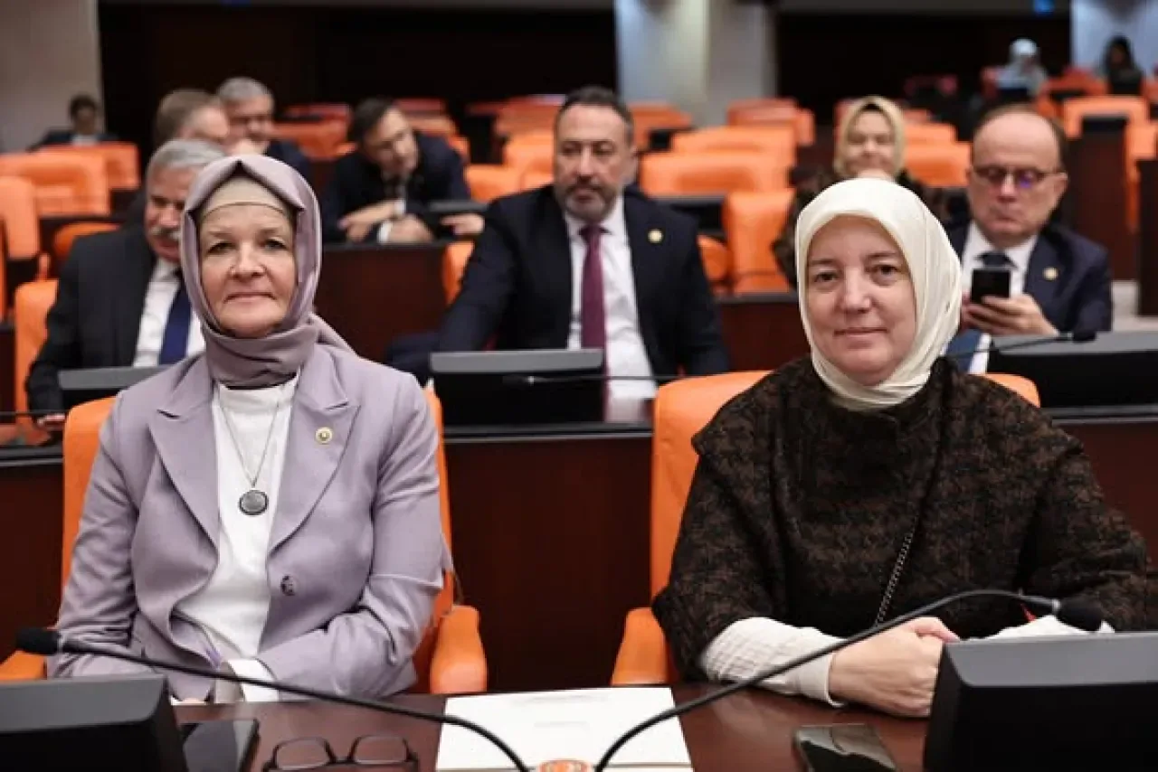 Bursa Milletvekili Gözgeç'ten Gençlik ve Kültür Bütçelerinin Onaylanmasına İlişkin Açıklama Bursa Milletvekili Gözgeç'ten Gençlik ve Kültür Bütçelerinin Onaylanmasına İlişkin Açıklama