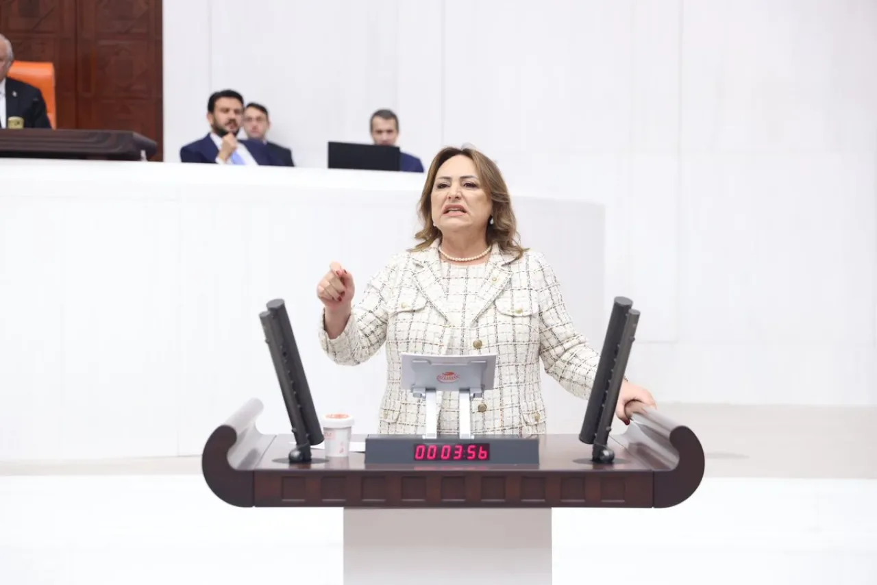 CHP'li Şevkin, Sağlık ve Enerji Bakanlığı Bütçelerini TBMM'de Eleştirdi CHP'li Şevkin, Sağlık ve Enerji Bakanlığı Bütçelerini TBMM'de Eleştirdi