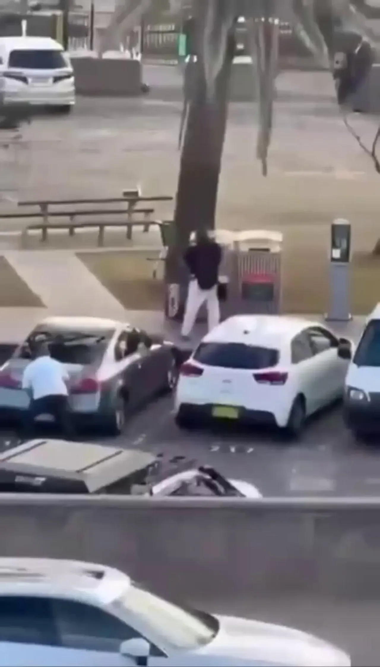 Avustralya'da Kahraman İlan Edilen Kişinin Suriyeli Asıllı Olduğu Ortaya Çıktı Avustralya'da Kahraman İlan Edilen Kişinin Suriyeli Asıllı Olduğu Ortaya Çıktı