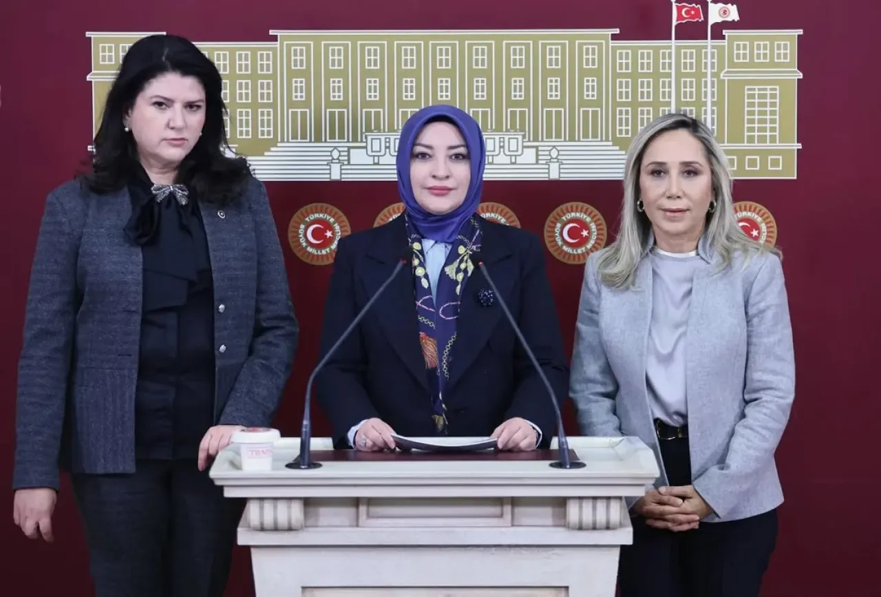 TBMM Komisyonu Meclis'te Yaşanan Olayın Araştırılmasını Takip Ediyor TBMM Komisyonu Meclis'te Yaşanan Olayın Araştırılmasını Takip Ediyor