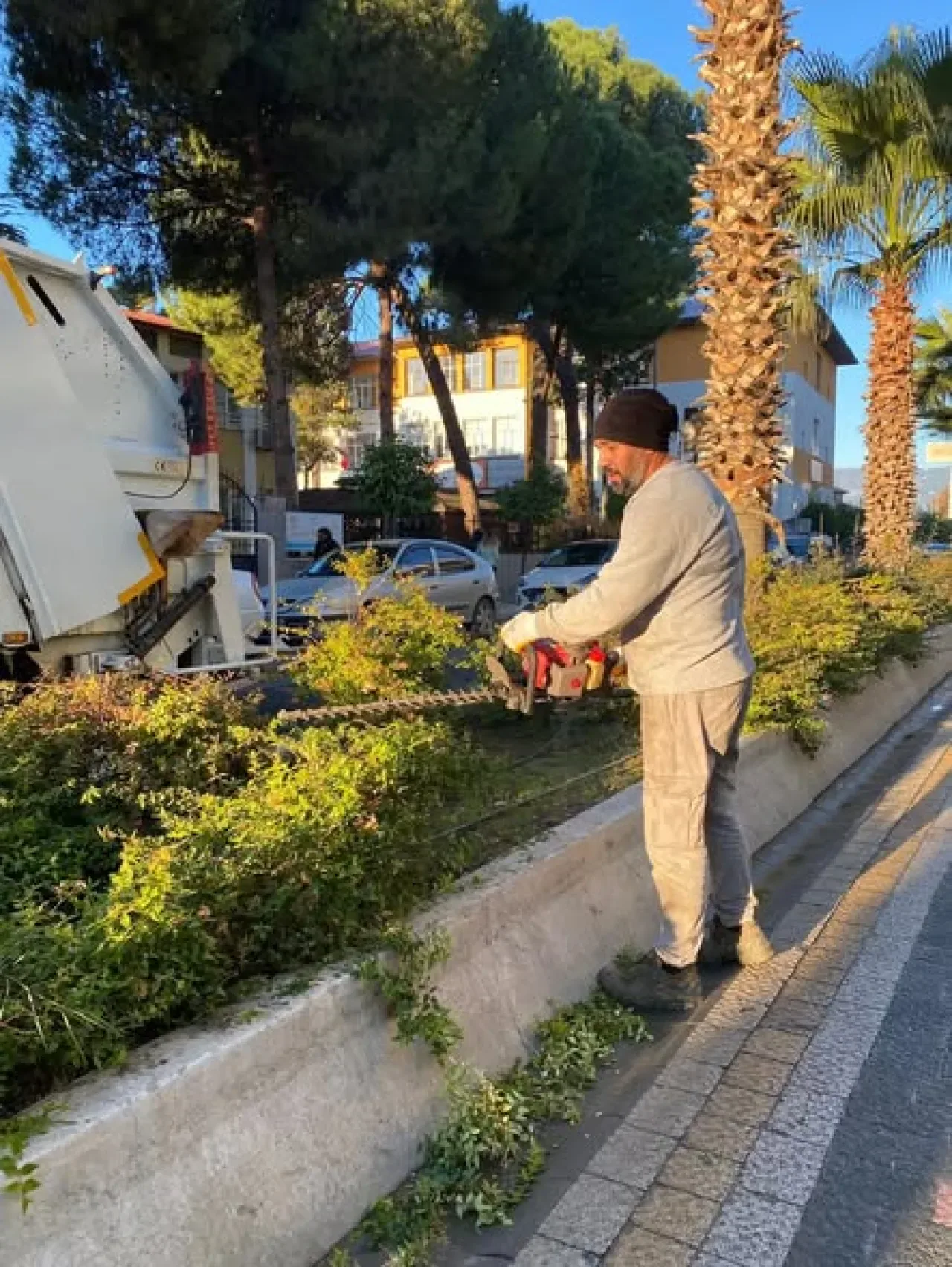 Edremit'te Yeşil Alan ve Parklarda Peyzaj Bakım Çalışmaları Tüm Hızıyla Sürüyor Edremit'te Yeşil Alan ve Parklarda Peyzaj Bakım Çalışmaları Tüm Hızıyla Sürüyor