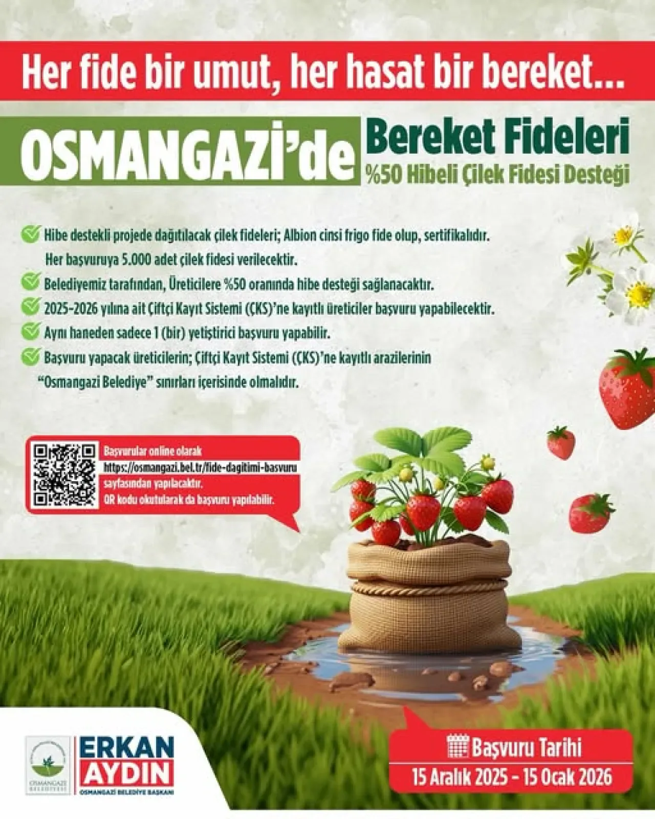 Osmangazi Belediyesi Çiftçilere Hibeli Çilek Fidesi Desteği Başlattı Osmangazi Belediyesi Çiftçilere Hibeli Çilek Fidesi Desteği Başlattı