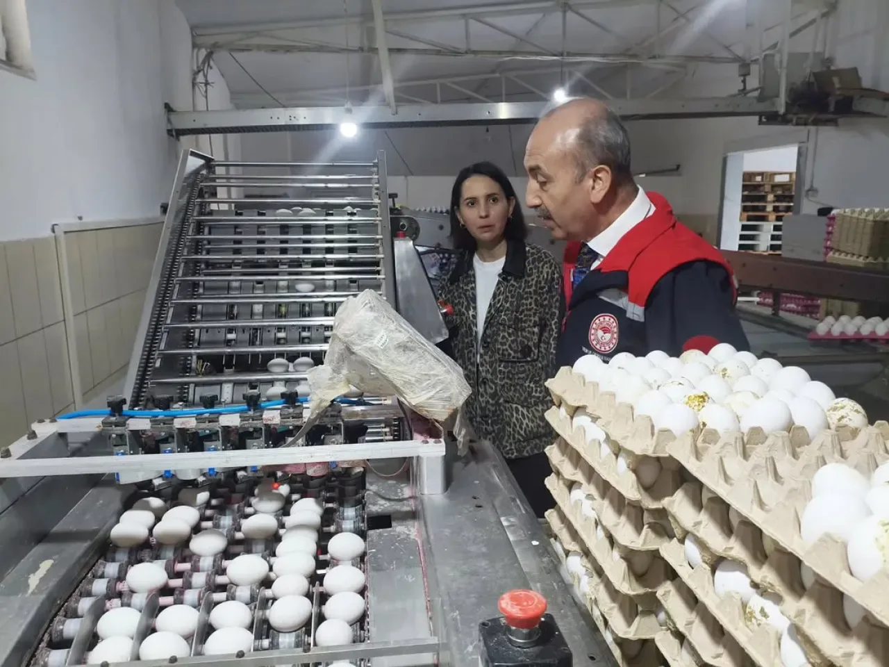 Balıkesir'de Genç Kanatlı Üreticisi, Tarım Orman Gençlik Konseyi'nde İl Temsilcisi Oldu Balıkesir'de Genç Kanatlı Üreticisi, Tarım Orman Gençlik Konseyi'nde İl Temsilcisi Oldu