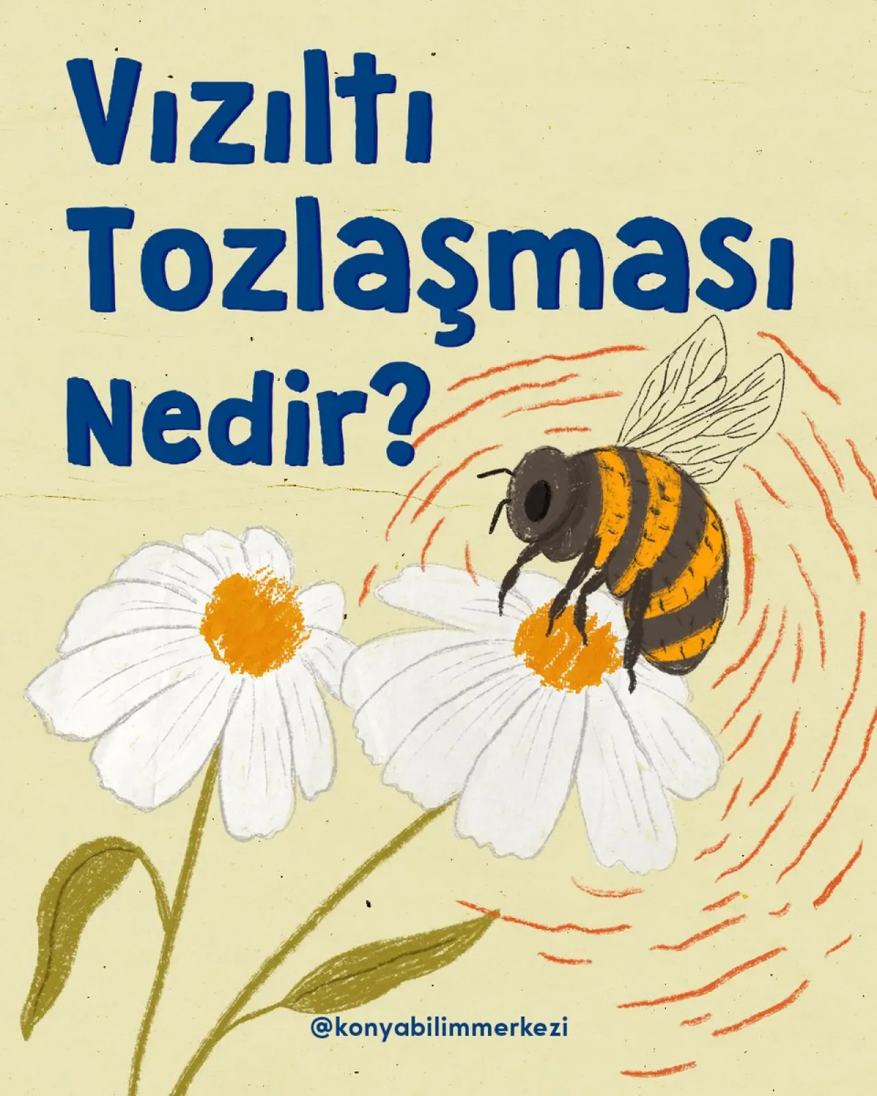 Bombus Arılarının Vızıltıyla Tozlaşma Sırrı Çözüldü Bombus Arılarının Vızıltıyla Tozlaşma Sırrı Çözüldü