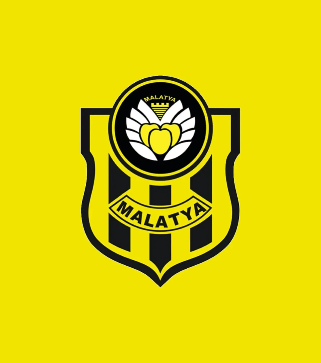 Yeni Malatyaspor, 2 Lig'den 3 Lig'e Düştü Yeni Malatyaspor, 2 Lig'den 3 Lig'e Düştü