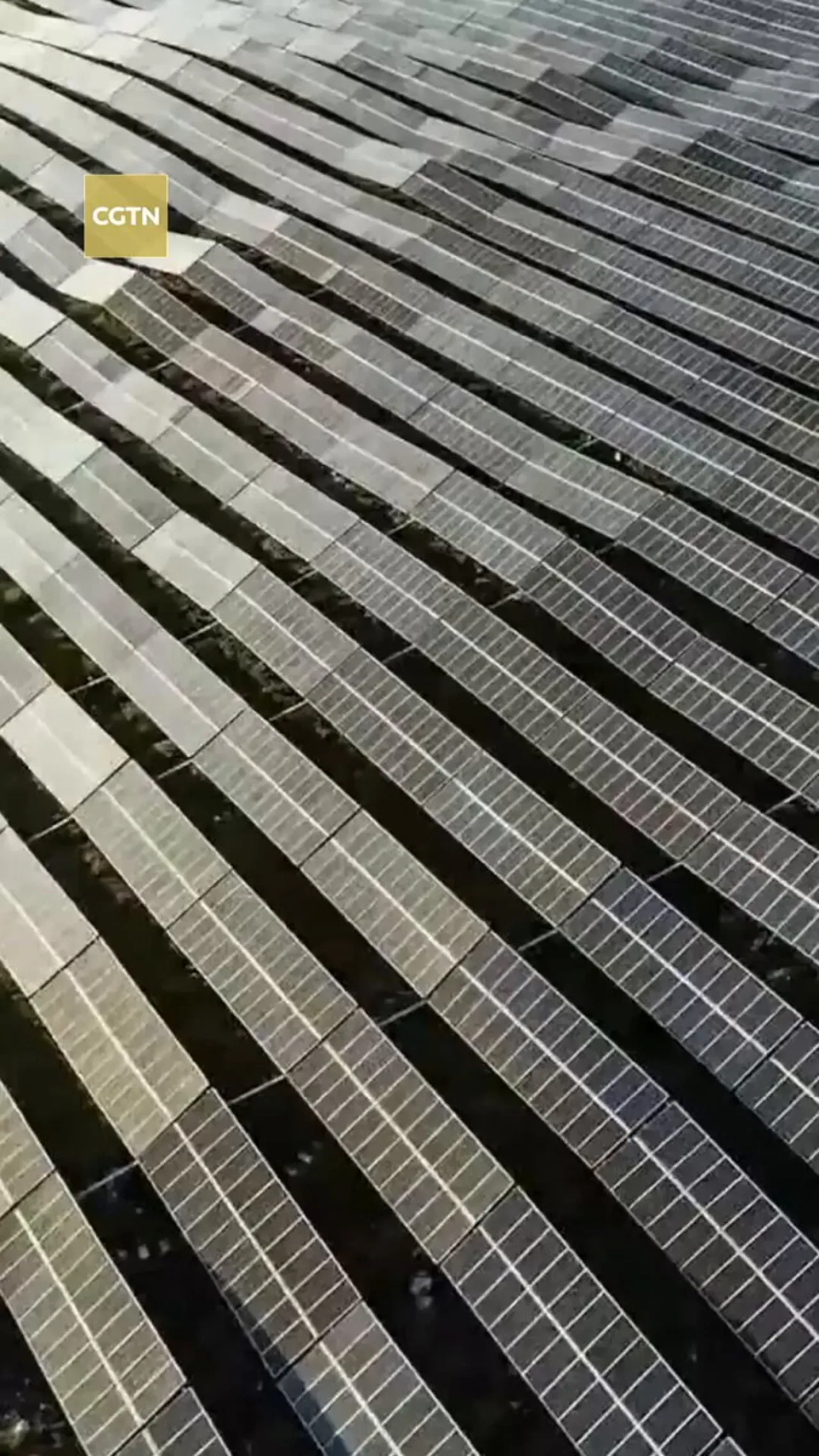 Çin, Yeşil Kalkınma Hedefleri Doğrultusunda Somut Adımlar Atıyor Çin, Yeşil Kalkınma Hedefleri Doğrultusunda Somut Adımlar Atıyor