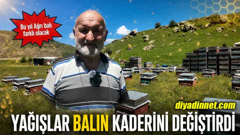 Ağrı Yaylalarında Rekor Yağış Etkisi: Bal Üretiminde Bereket Beklentisi