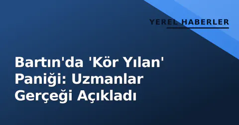 Bartın'da 'Kör Yılan' Paniği: Uzmanlar Gerçeği Açıkladı