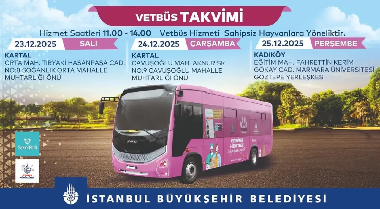 İBB Veteriner Hizmetleri, Kartal ve Kadıköy'de Sahipsiz Hayvanlar İçin Sağlık Taraması Yapacak İBB Veteriner Hizmetleri, Kartal ve Kadıköy'de Sahipsiz Hayvanlar İçin Sağlık Taraması Yapacak