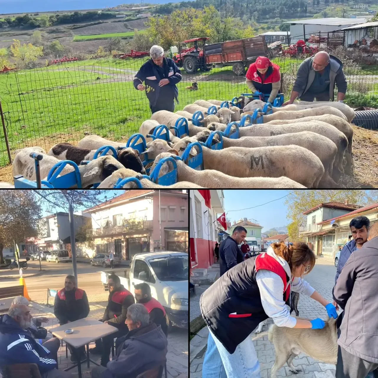 Balıkesir'de Üreticilere Yönelik Tarım Destek ve Bilgilendirme Çalışmaları Balıkesir'de Üreticilere Yönelik Tarım Destek ve Bilgilendirme Çalışmaları